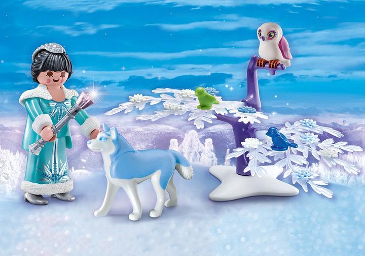 Ice Princess Carry Case