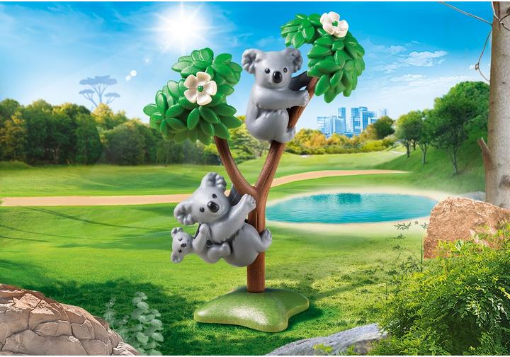 Koalas with Baby