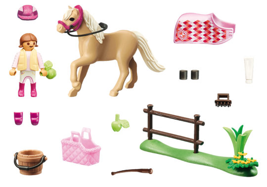 Collectible German Riding Pony – box_back