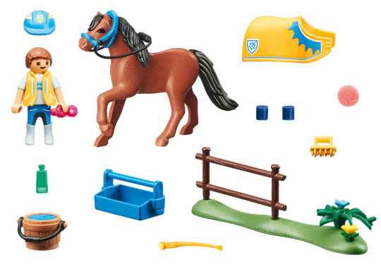 Collectible Welsh Pony – box_back