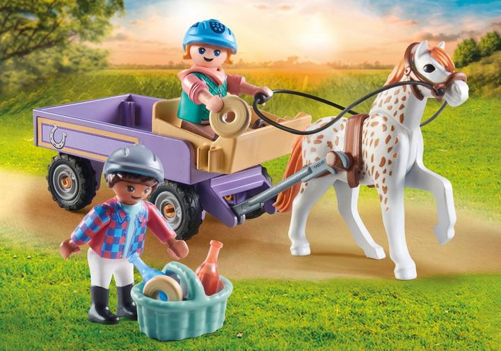 Pony carriage