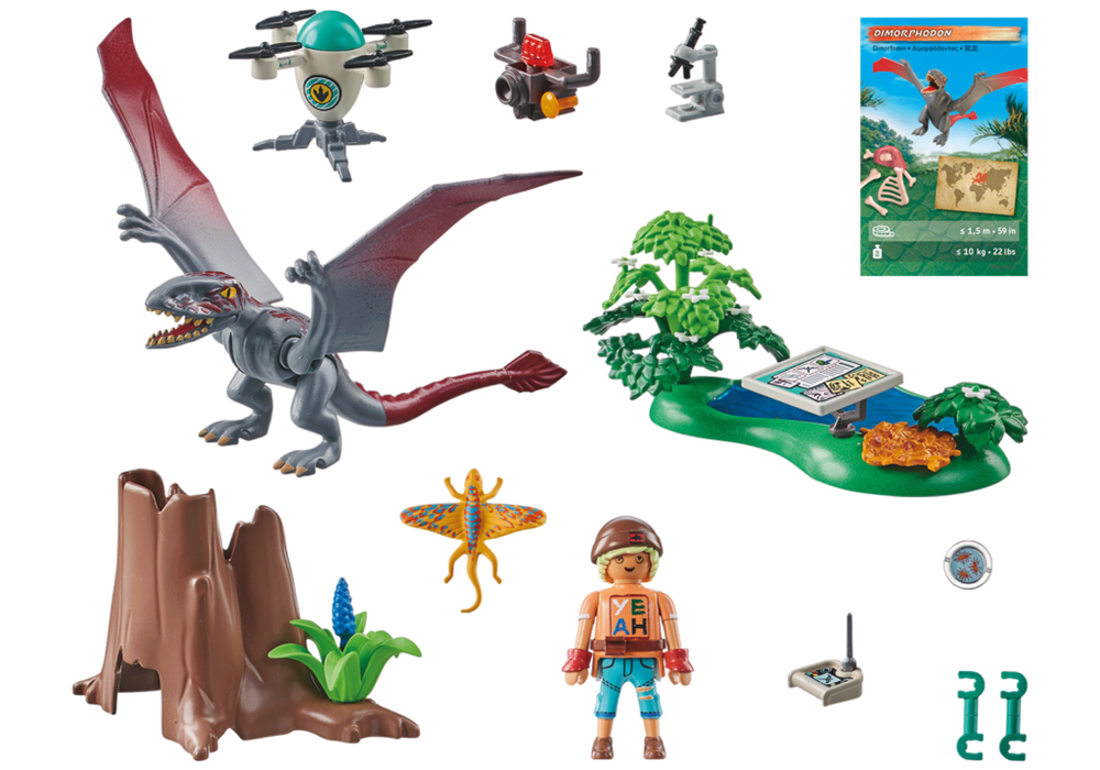 Observatory for Dimorphodon – box_back